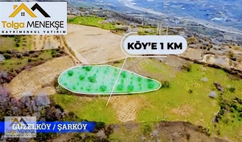 Şarköy Güzelköy'de 2710 M2 Satılık Zeytinlik