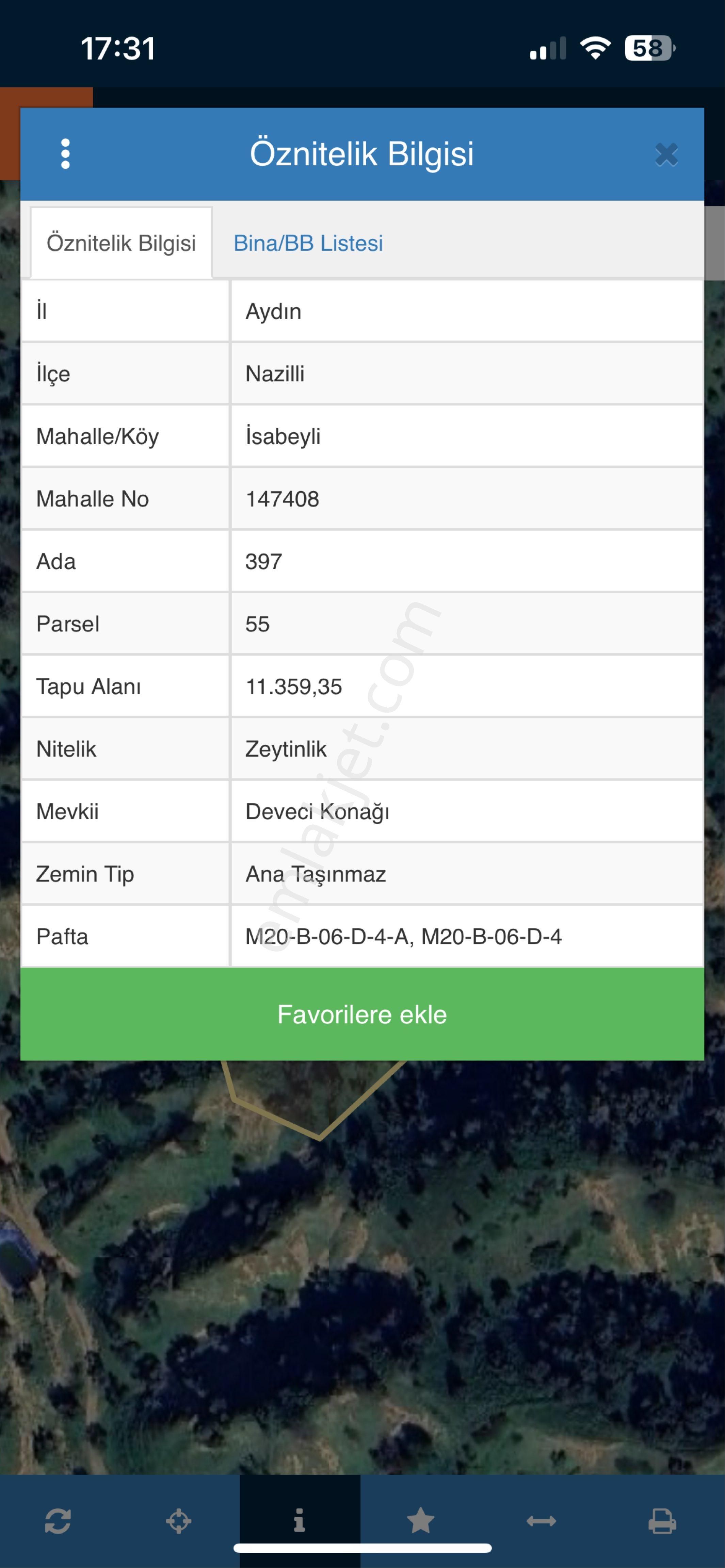 Miray Emlaktan Nazilli İsabeylide Satılık Zeytinlik