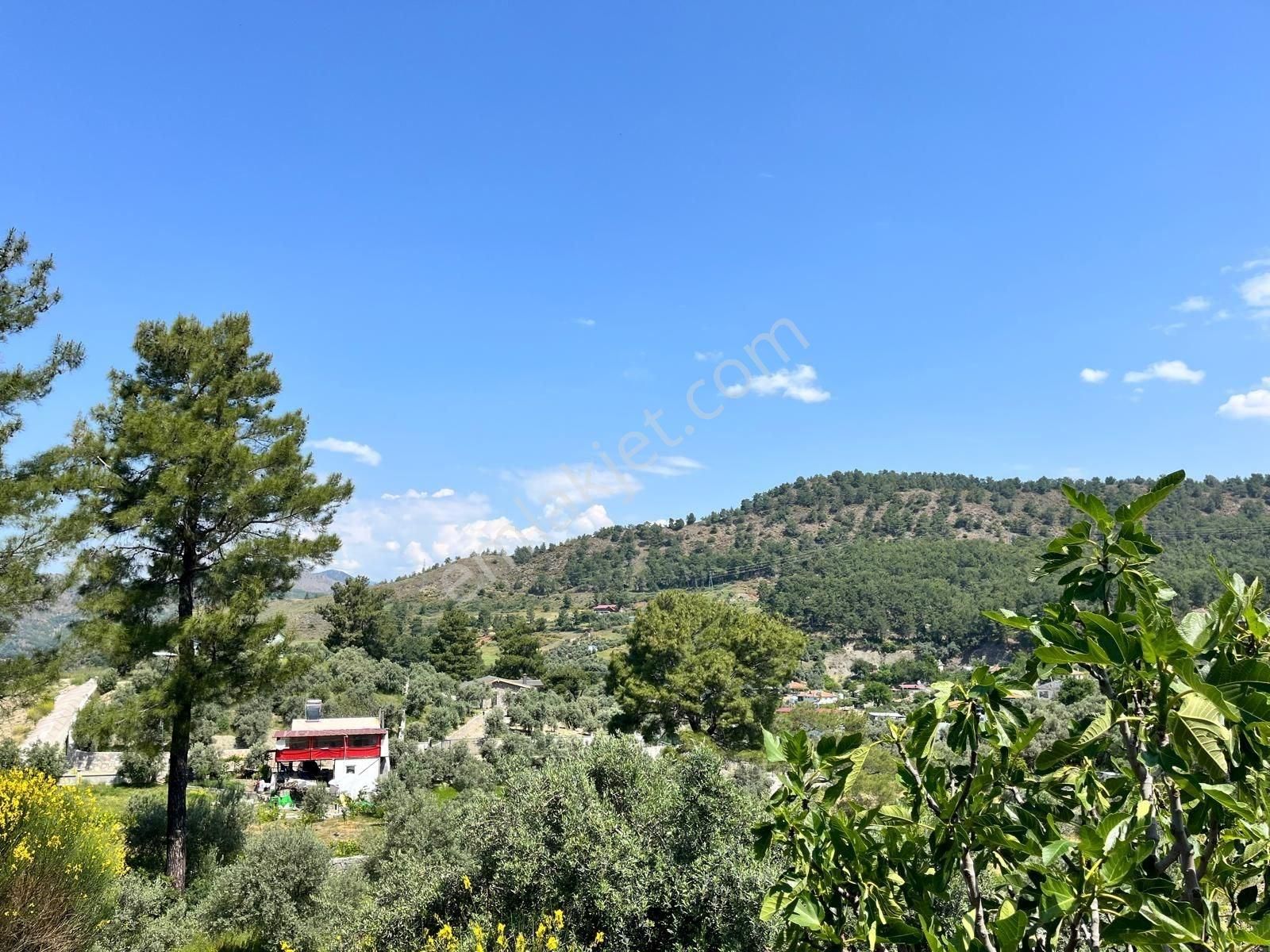Dalaman Gürköy De 1780 M2 Müstakil Parsel Arazi