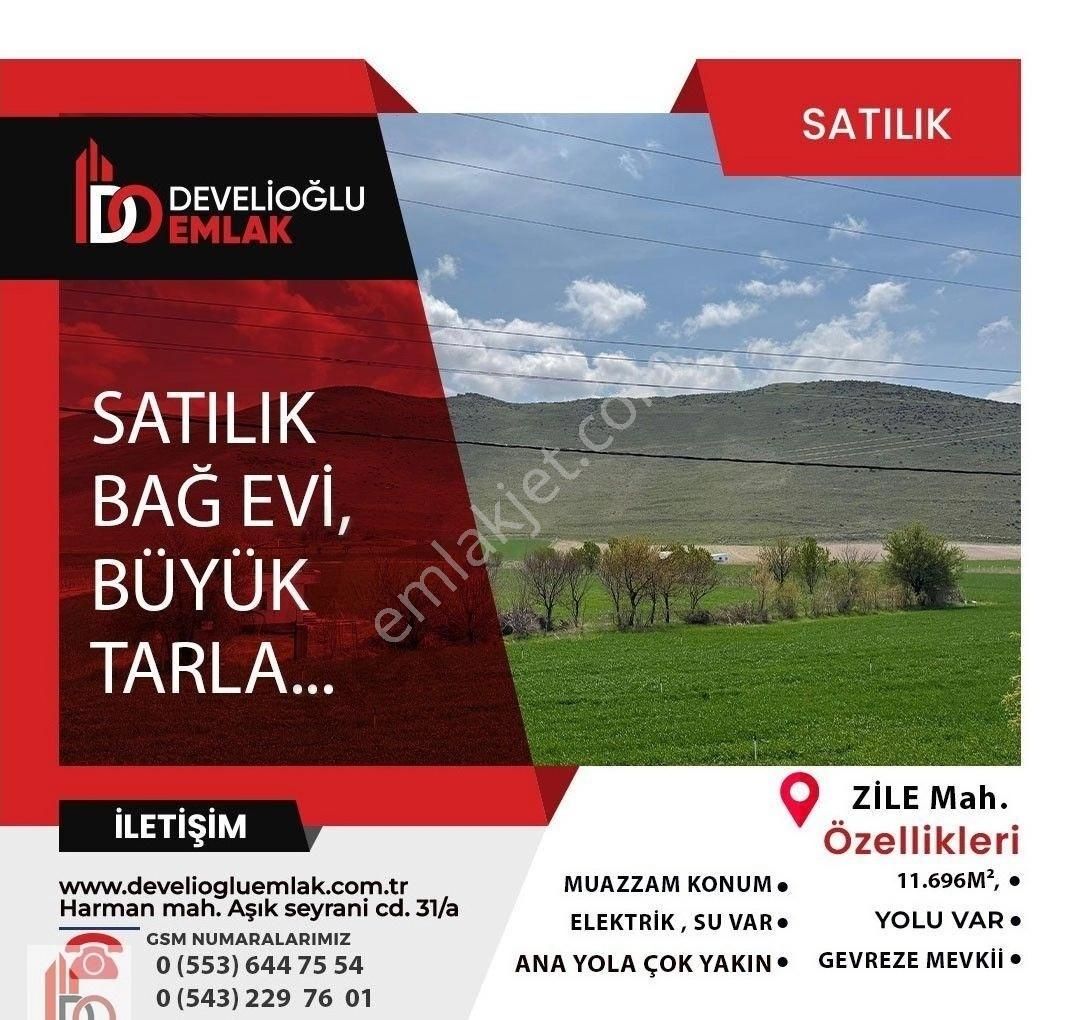Zile Anayola Çok Yakın Satılık Büyük Tarla Ve Bağ Evi...