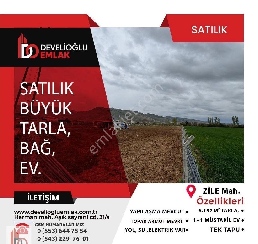 Zilede Satılık Büyük Tarla Ve 1+1 Müstakil Ev