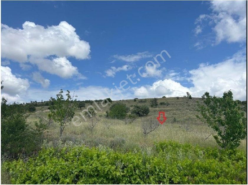 Isparta Gelendost'da 2388 M2 Satılık Tarla