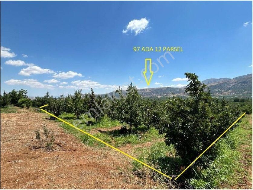 Isparta Gelendost'da 1610 M2 Satılık Tarla
