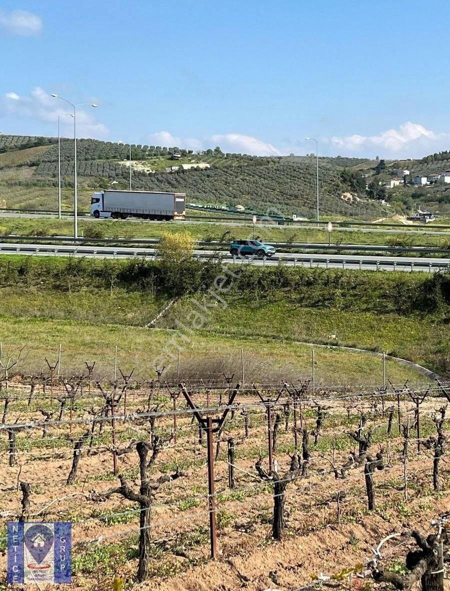 Osmangazi Karabalçıkta Satılık Meyve Bahçesi