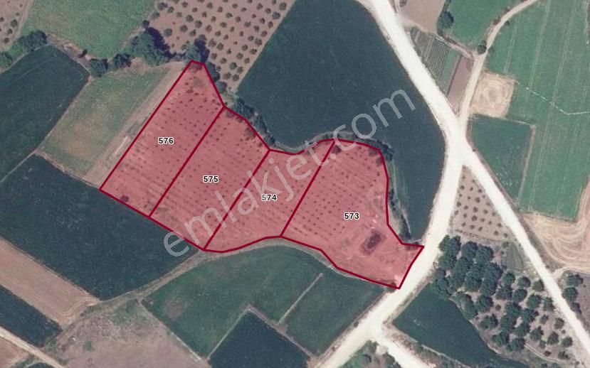 Karacabey Yeşildere'de 13650m2 Tarla Satılık (susurluk-pehlivan Emlak Gayrimenkul'den)