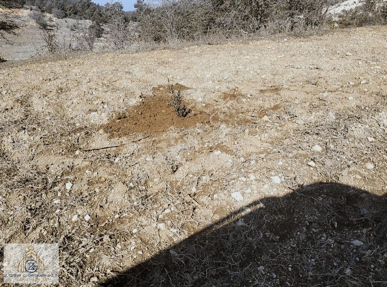 Yol Var Su Var Aradığınız Her Şey Bu Arazide Sizlerle.....