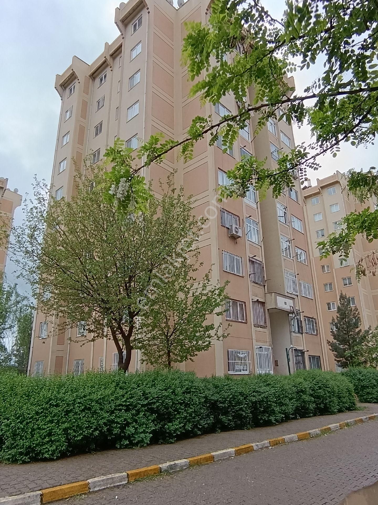 Sahibinden Satılık Üçkuyu Toki Daire