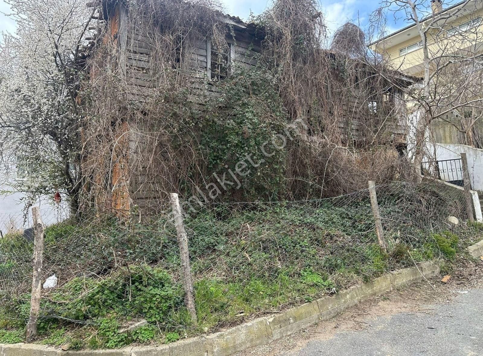 Şile Doğancılı Köyünde Satılık Ahşap Ev Arsası - Görsel 4