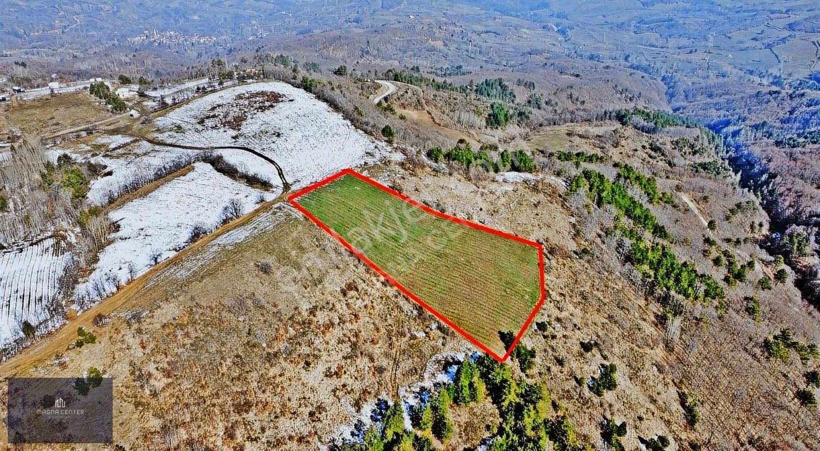 Magnadan Tuzla(inayet)mah.8.000m2 Satılık Yaban Mersini Bahçesi