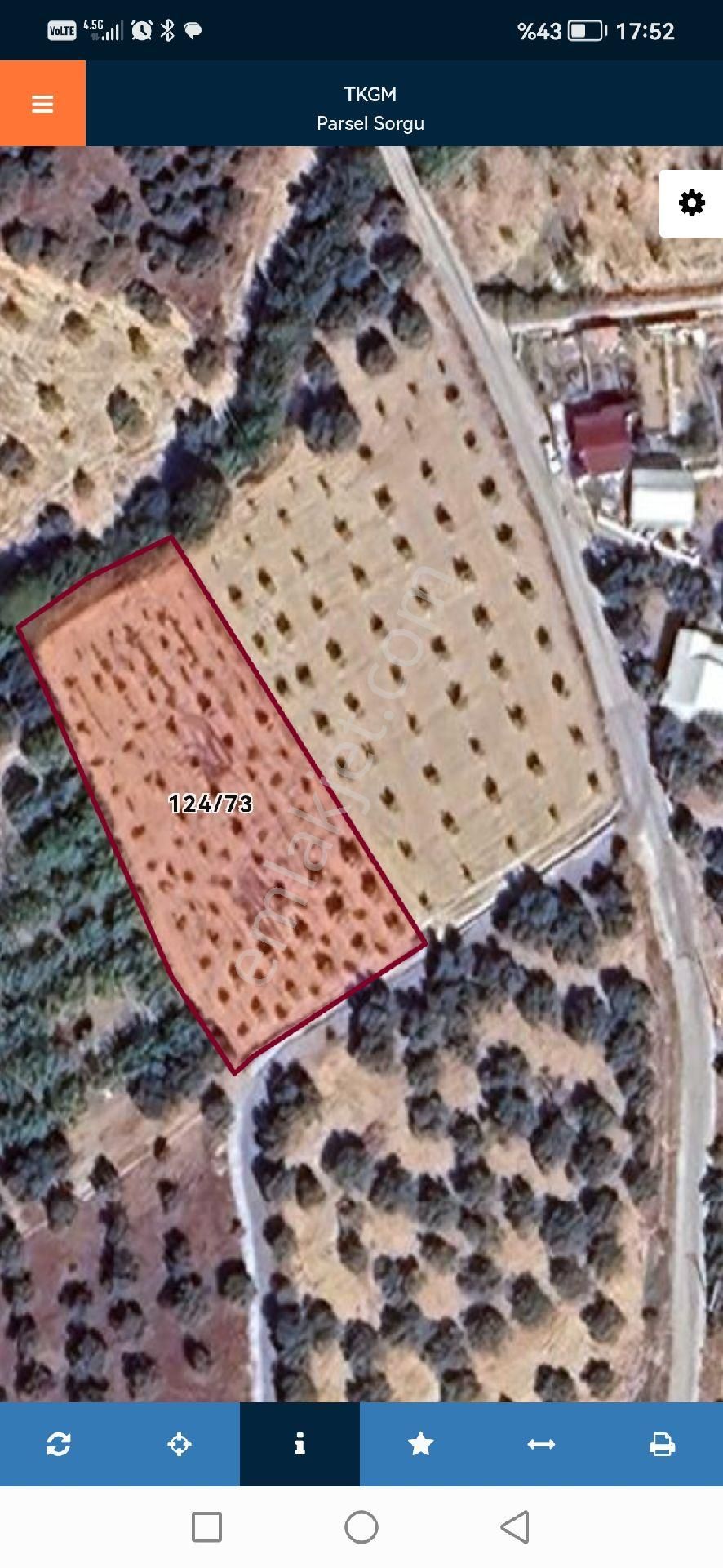 Satılık İncir Bahçesi