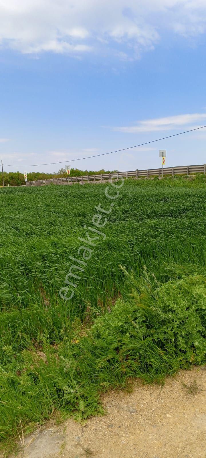 Ege Gayrimenkulden Silivri Beycilerde 1600 M2 Tarla