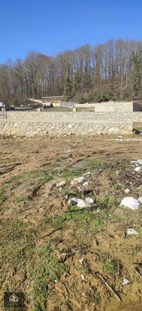 Şile Osmanköy'de 1000 M2 Hisseli Satılık Arsa