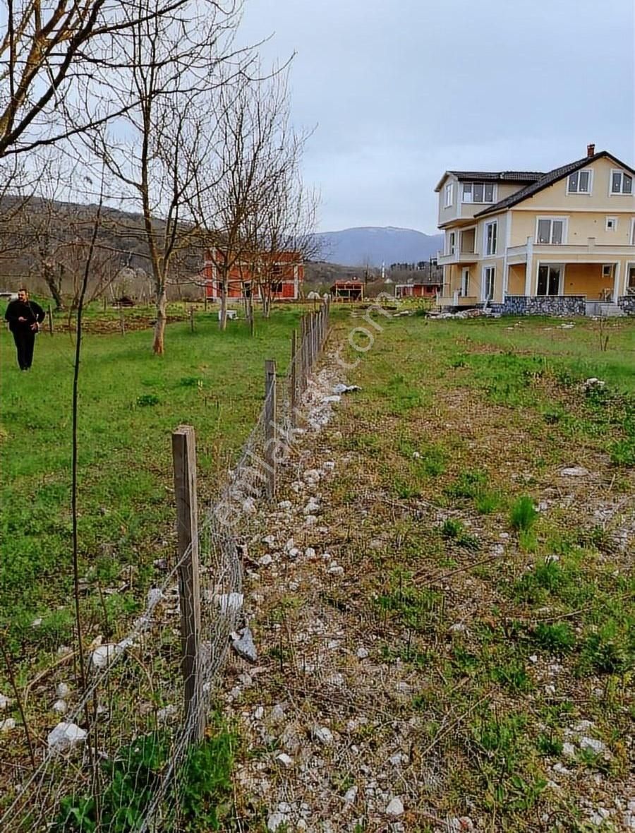 Akyazı Nur Emlak Alaagac M.h 1222 M2 Arsa 2475 Bın Tl Acele Sat
