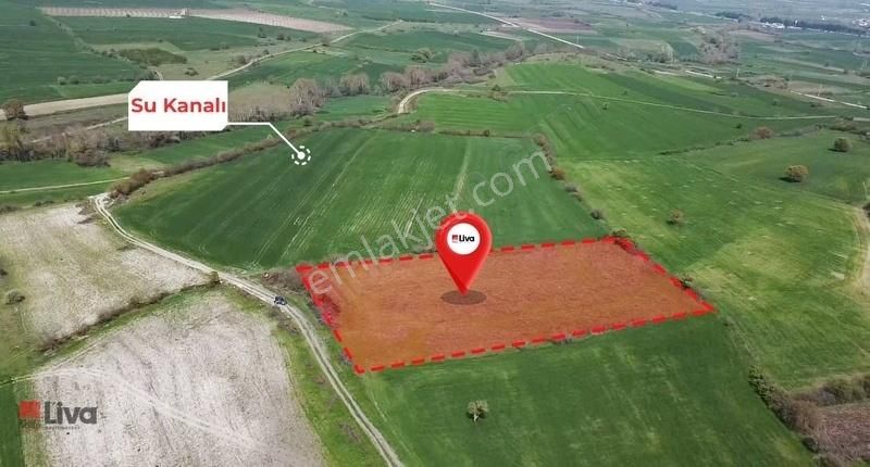Rw Liva Dan Balıkesir Taşköy De Satılık 6.871 M2 Yolu Olan Tarla