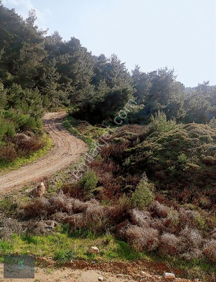 Toki Ormanevleri 2+1 Manzaralı Daire