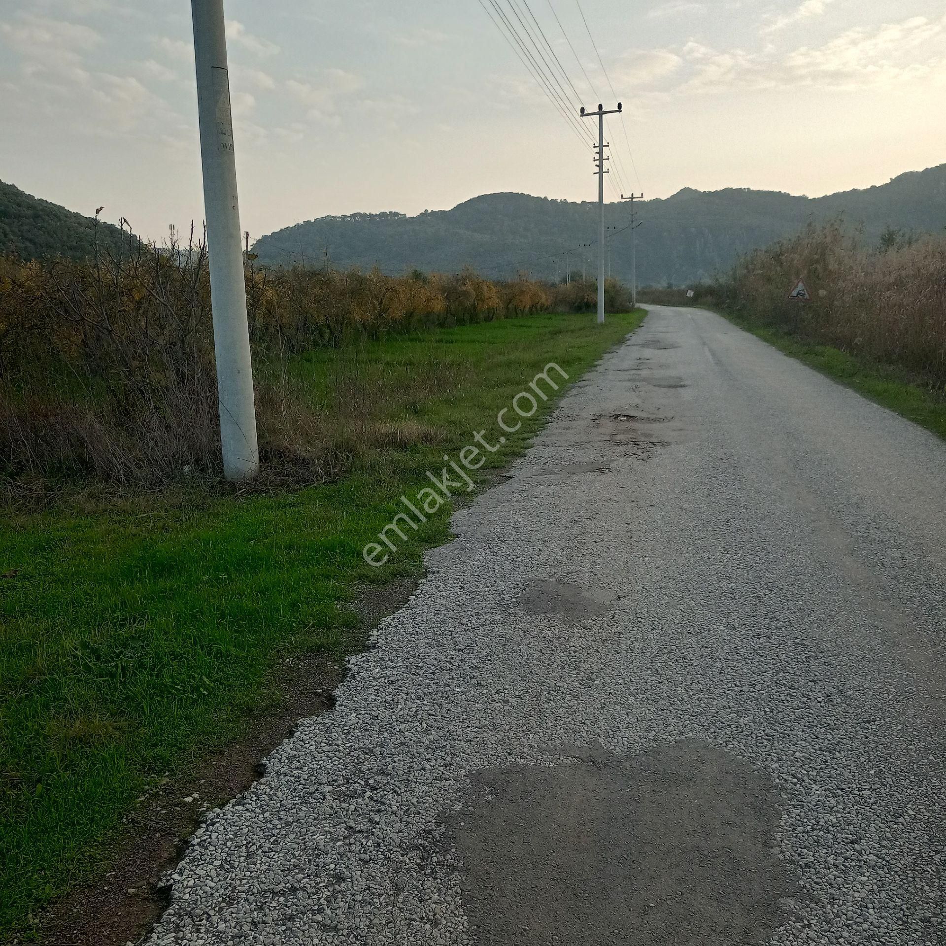 Muğla Ortaca Mergenli Satılık Tarla Müstakil Parsel - Görsel 3
