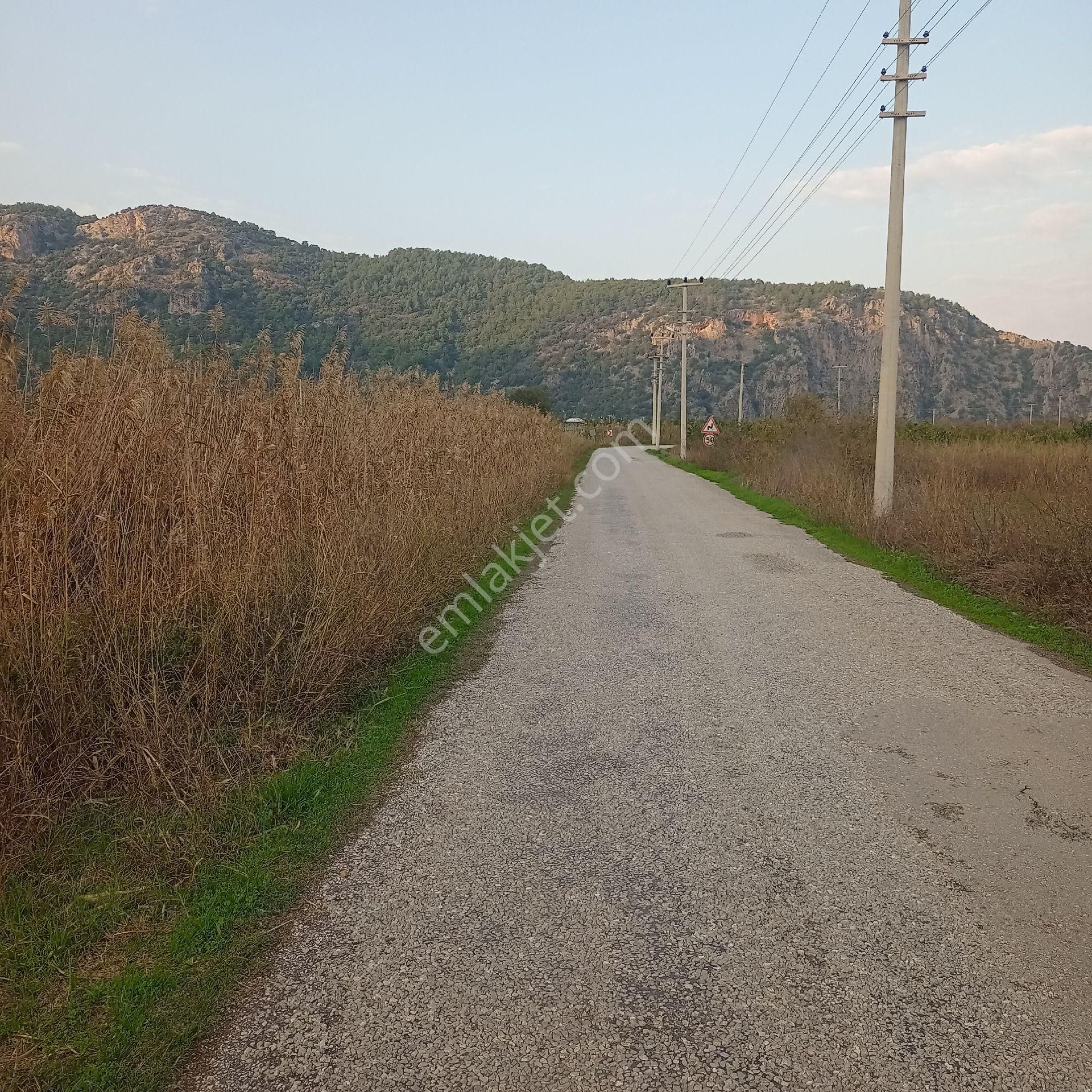 Muğla Ortaca Mergenli Satılık Tarla Müstakil Parsel