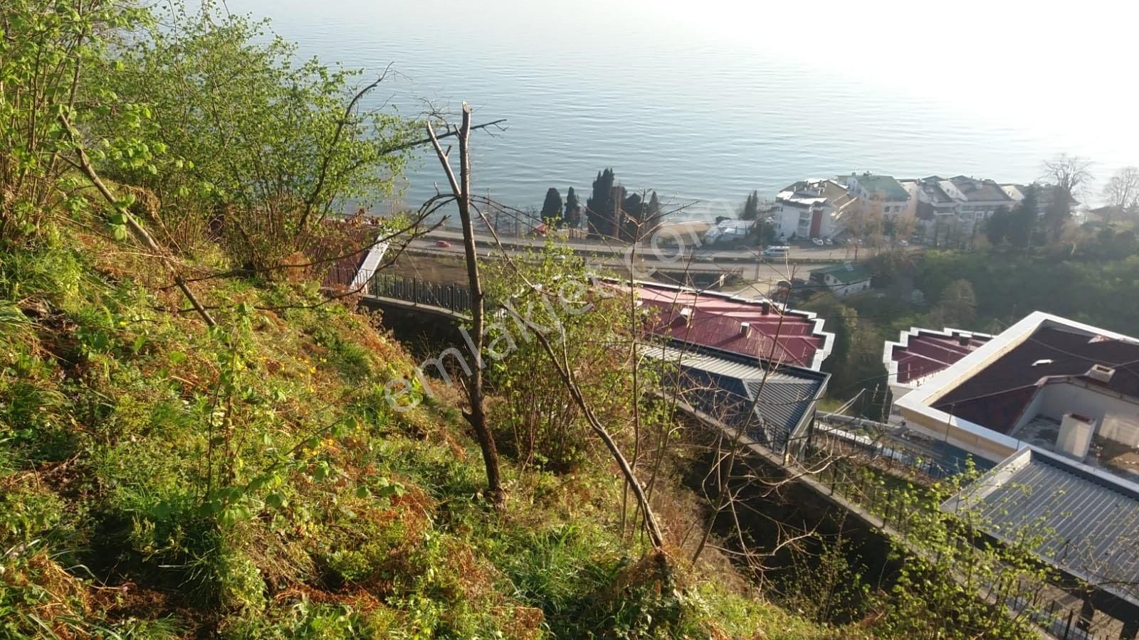 Yatırımlık, Deniz Manzaralı Fındık Bahçesi