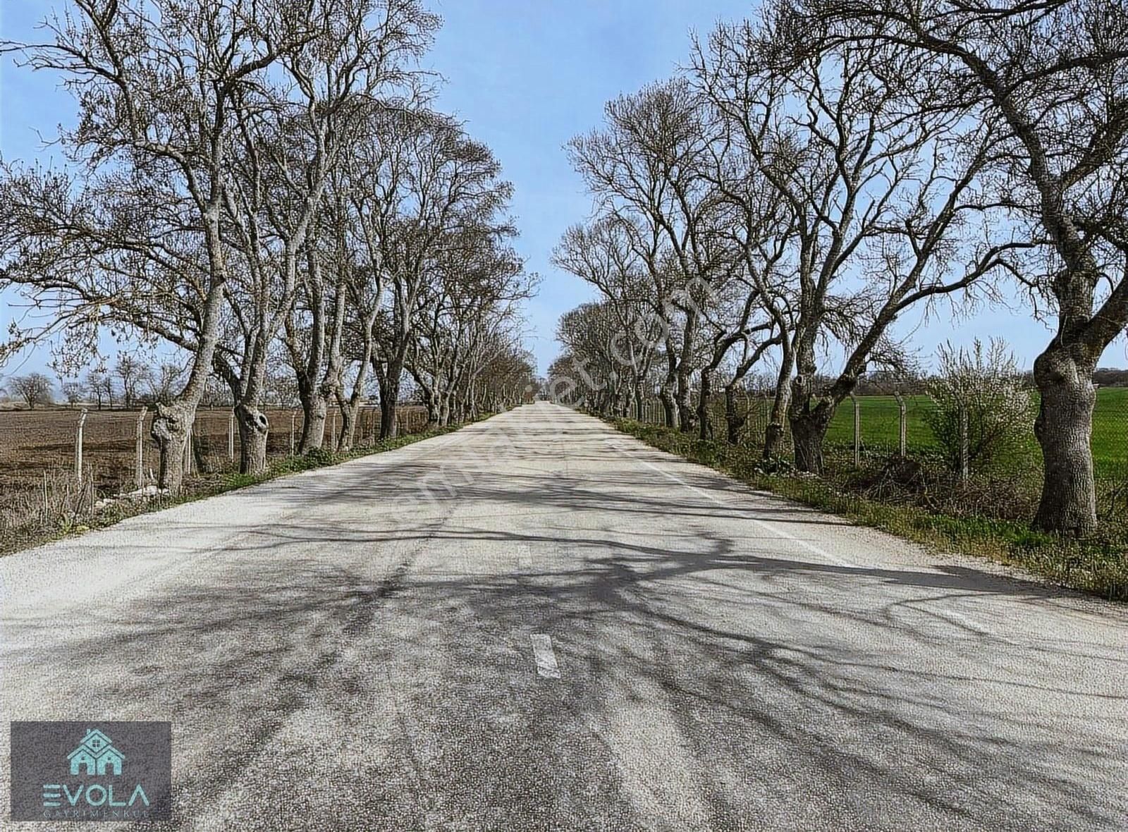Karacabey Gönü (902\21 Parsel)satılık Tek Tapu Tarla
