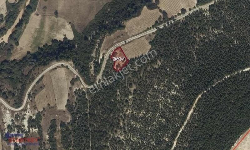 Manisa Demirci Gümele Mevkii Satılık Yol Cepheli Tarla