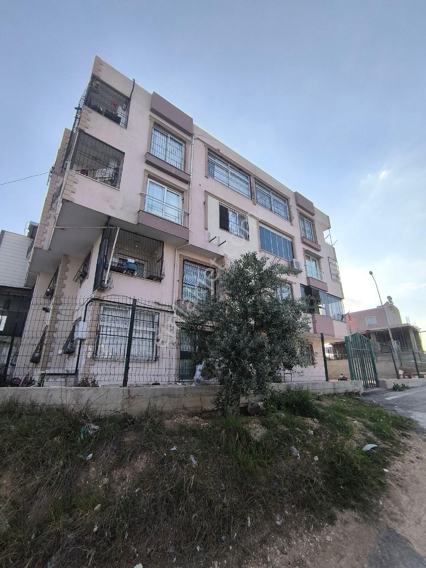 Düşük Kat Hasarsız 2+1 Daire Cep Mutfak