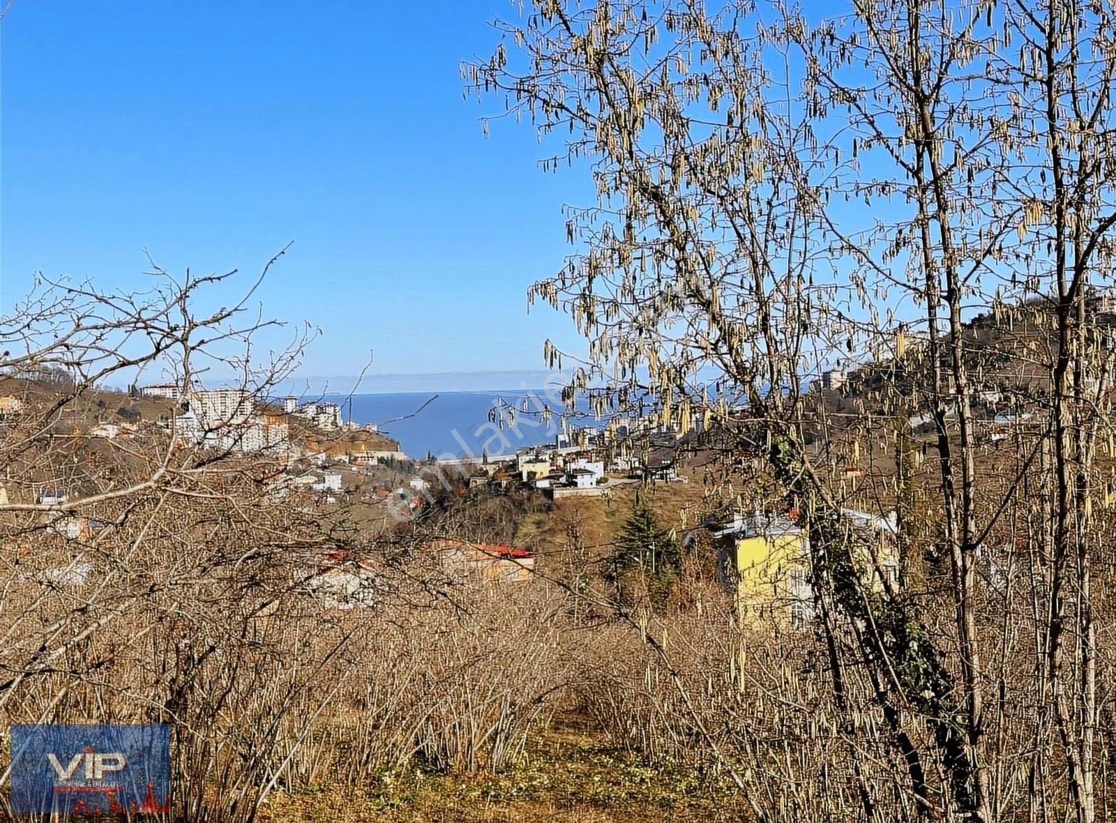 Vıp Real Estate Den Bengusuda Fındıklık Arsa
