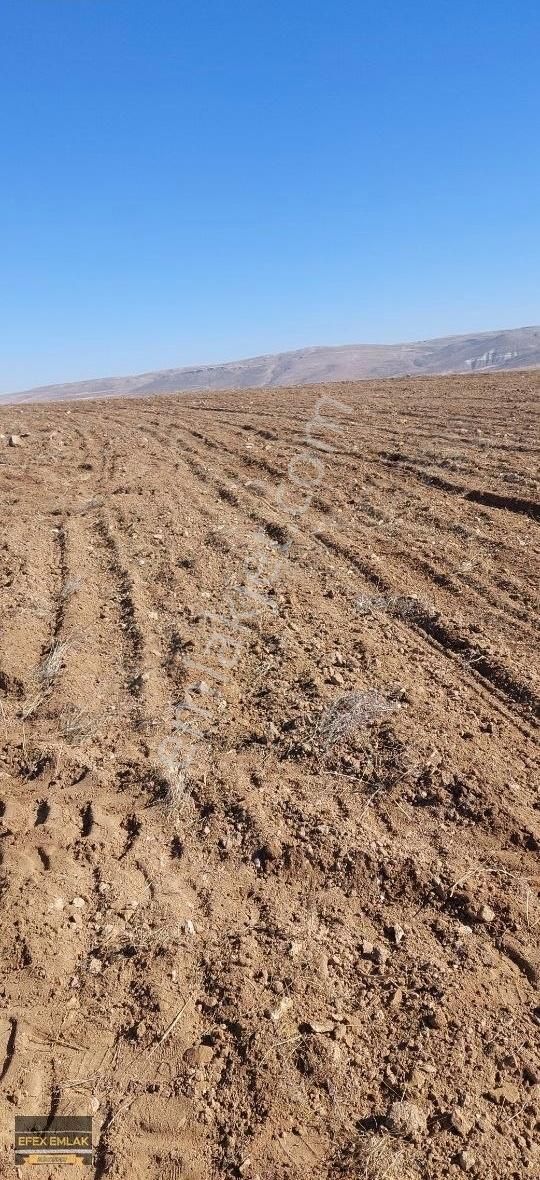 Mut Satılık Yatırımlık Tarla Kaçmaz Fırsat Sadece 110 Bin Tl