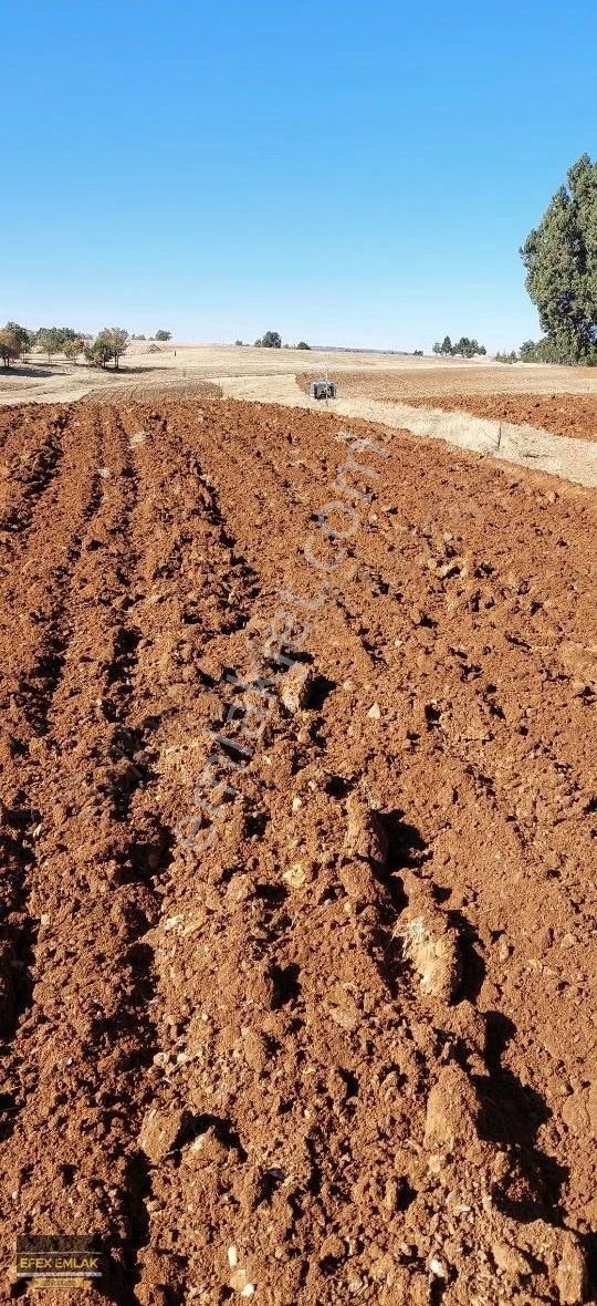 Mersin Mut Ballı Mahallesinde 3040 Metre Sadece 110 Bin Tl