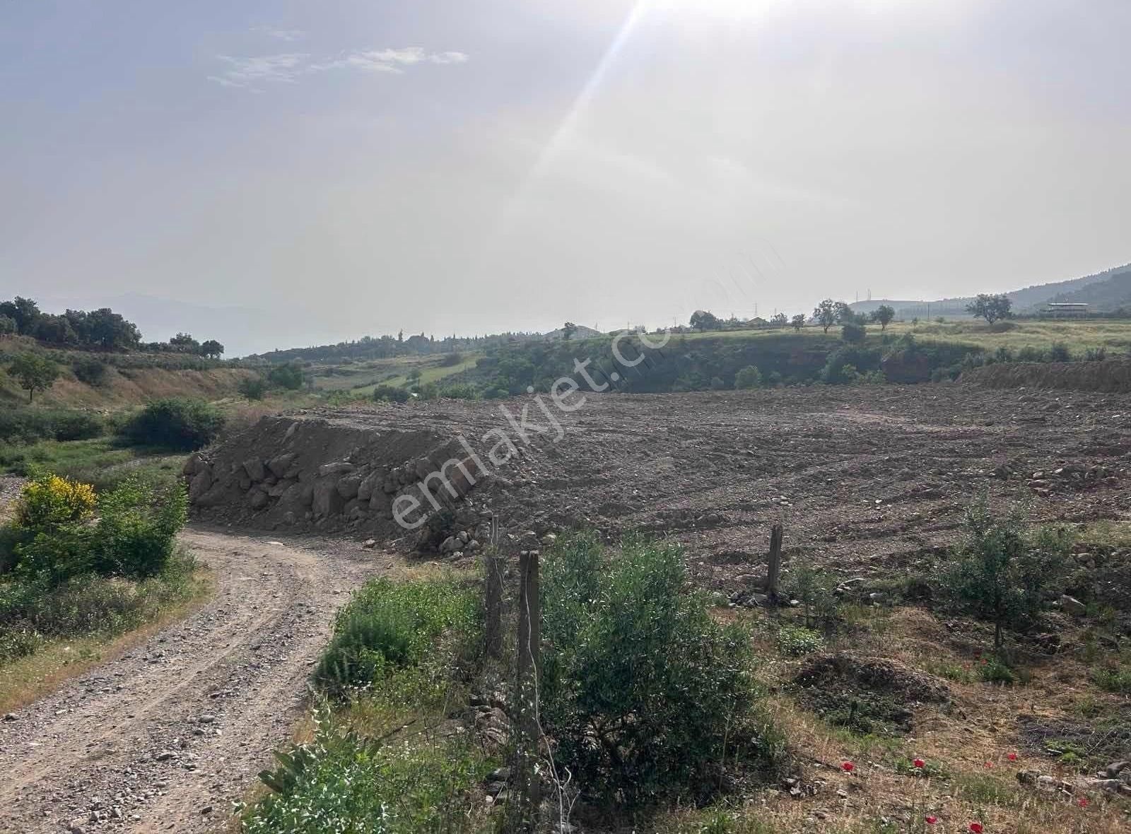 Satılık Tarla