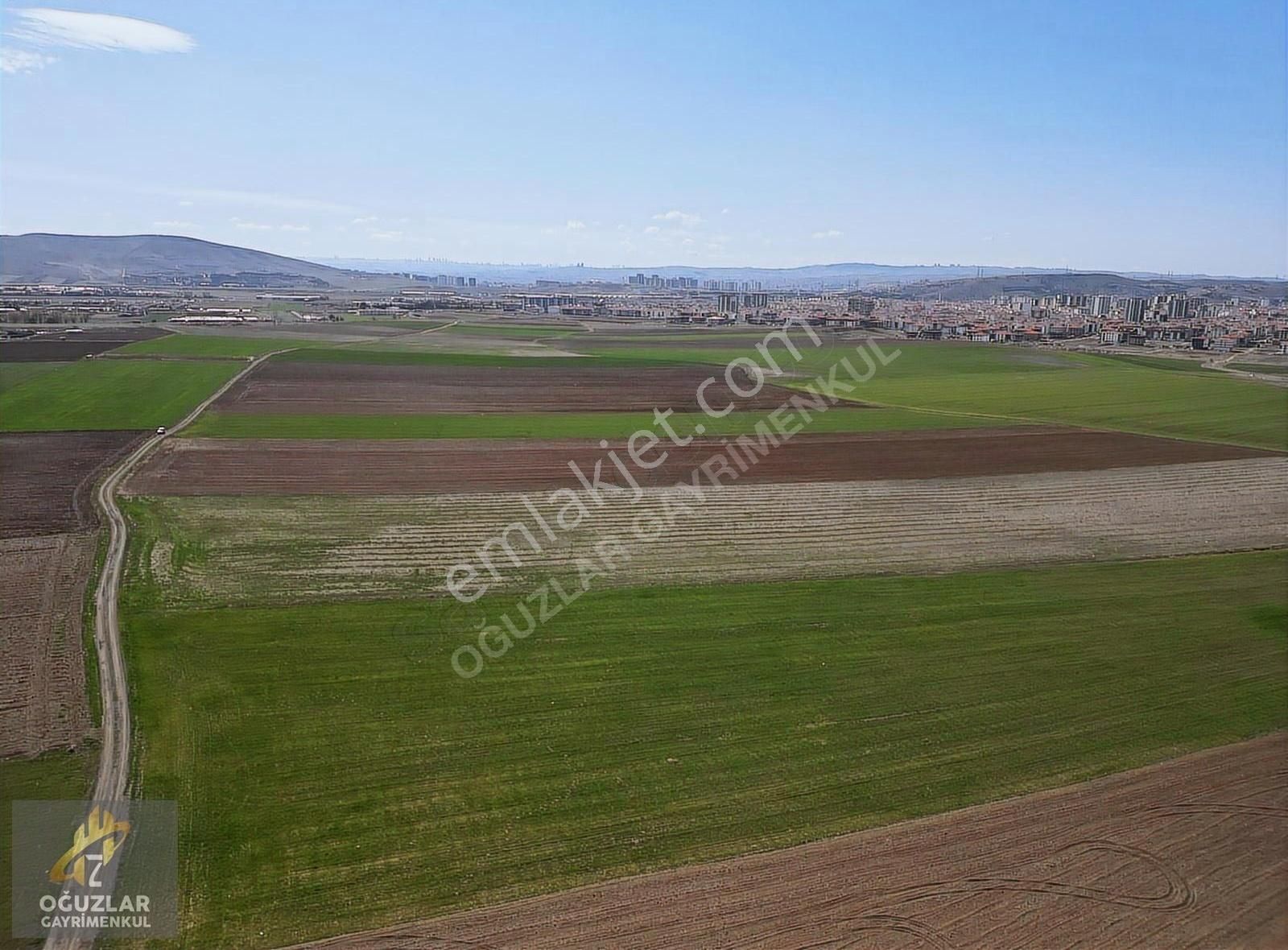 Oğuzlar'dan__imara Bitişik 8270 M2 Yatırımlık Hisse Tapu Tarla