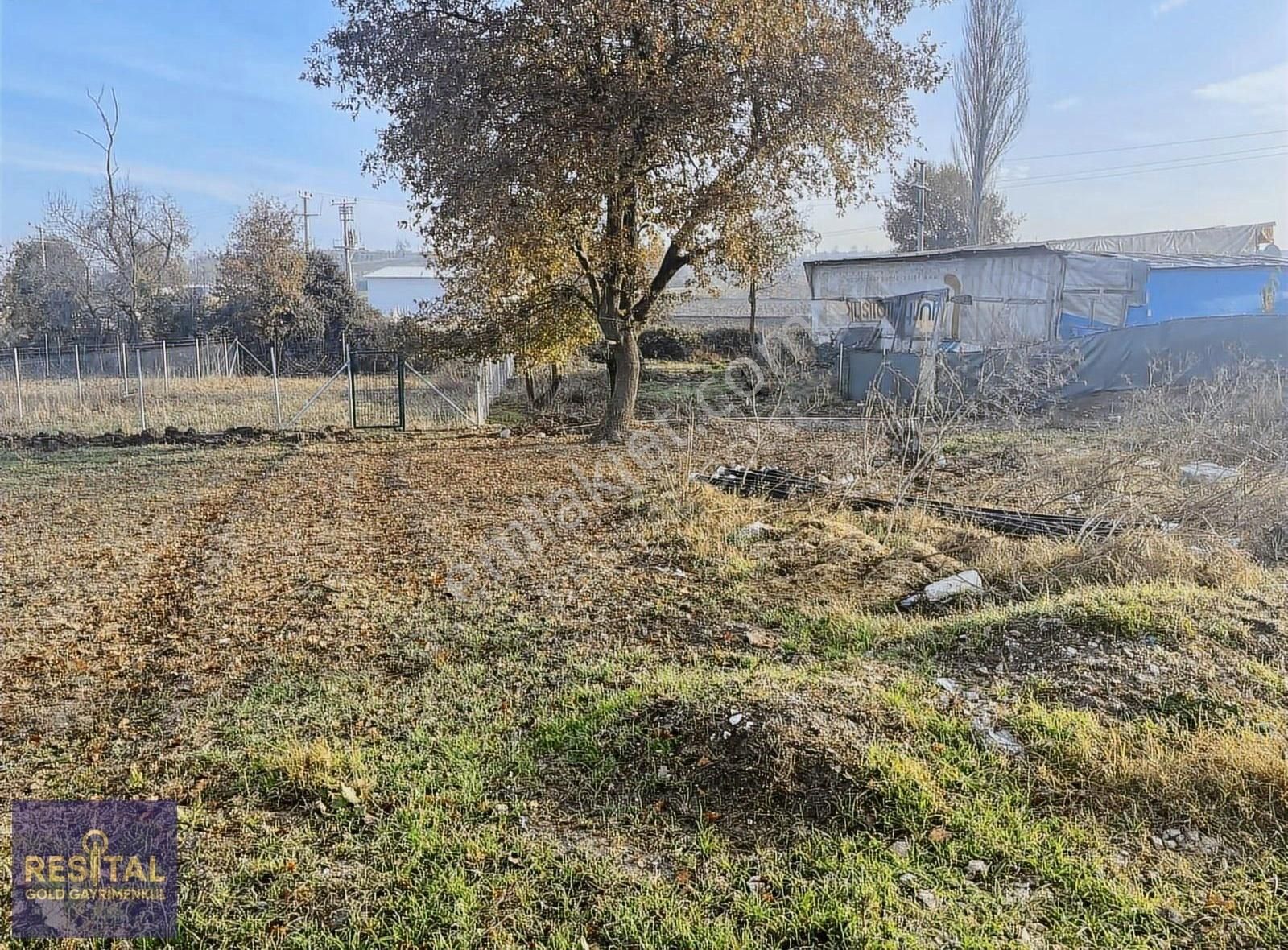 Yolçatıda Köye Yakın Asfalt Dibi Tarla