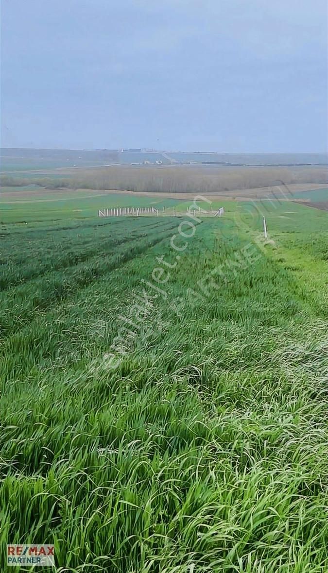 Silivri Yolçatı'da Araç Takasına Uygun 1605 M2 Satılık Tarla