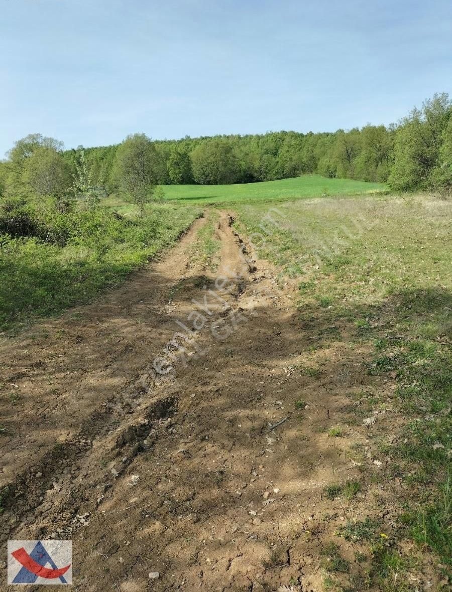 Yetiş Al Dan Şile Çengilli De Doğa İçinde 4.550 M2 Satılık Arazi - Görsel 18