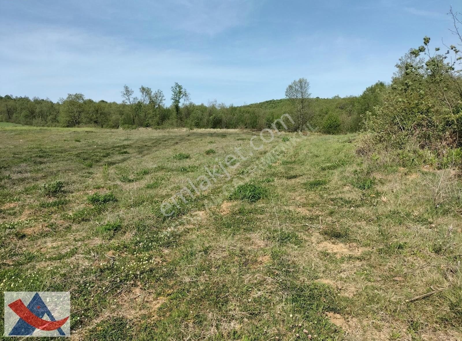 Yetiş Al Dan Şile Çengilli De Doğa İçinde 4.550 M2 Satılık Arazi - Görsel 11