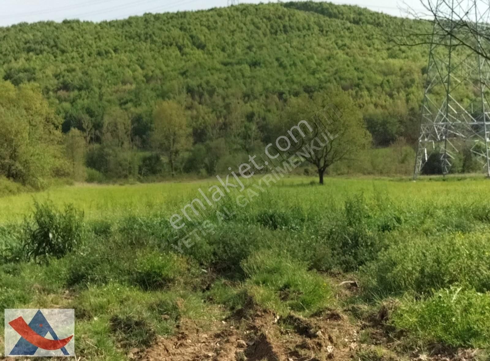 Yetiş Al Dan Şile Çengilli De Doğa İçinde 4.550 M2 Satılık Arazi