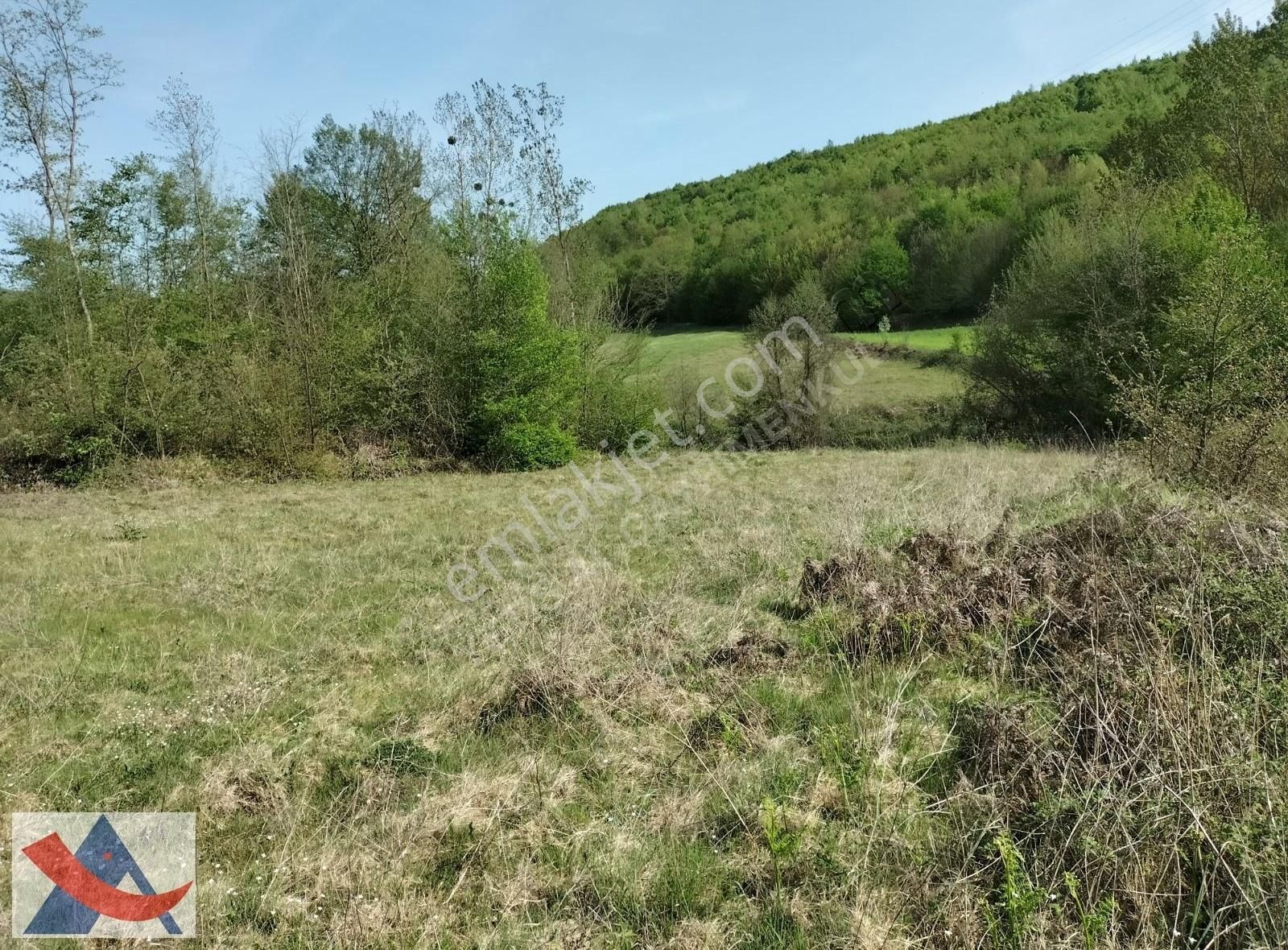 Yetiş Al Dan Şile Çengilli De Doğa İçinde 4.550 M2 Satılık Arazi - Görsel 15