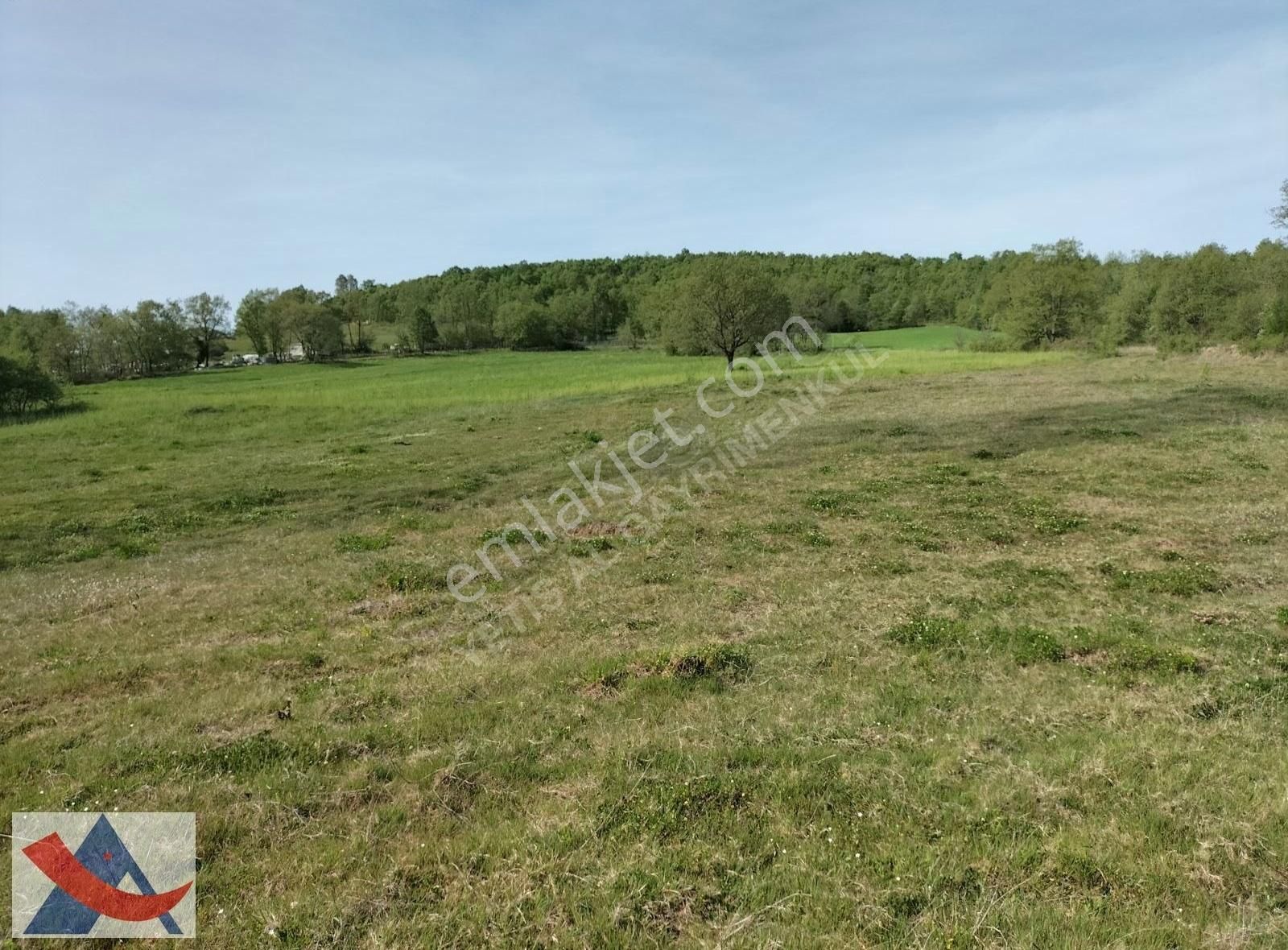 Yetiş Al Dan Şile Çengilli De Doğa İçinde 4.550 M2 Satılık Arazi - Görsel 22