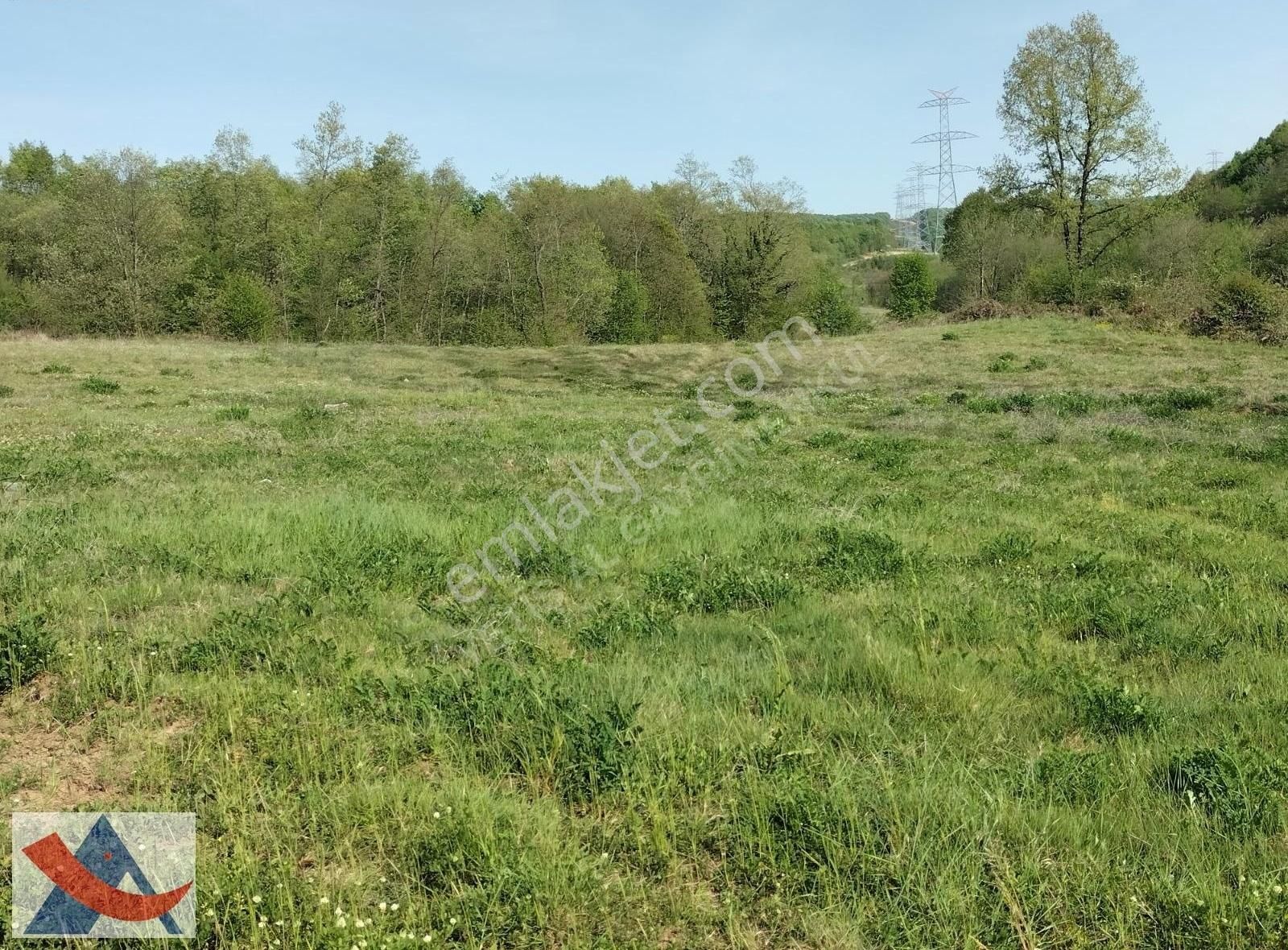 Yetiş Al Dan Şile Çengilli De Doğa İçinde 4.550 M2 Satılık Arazi - Görsel 28