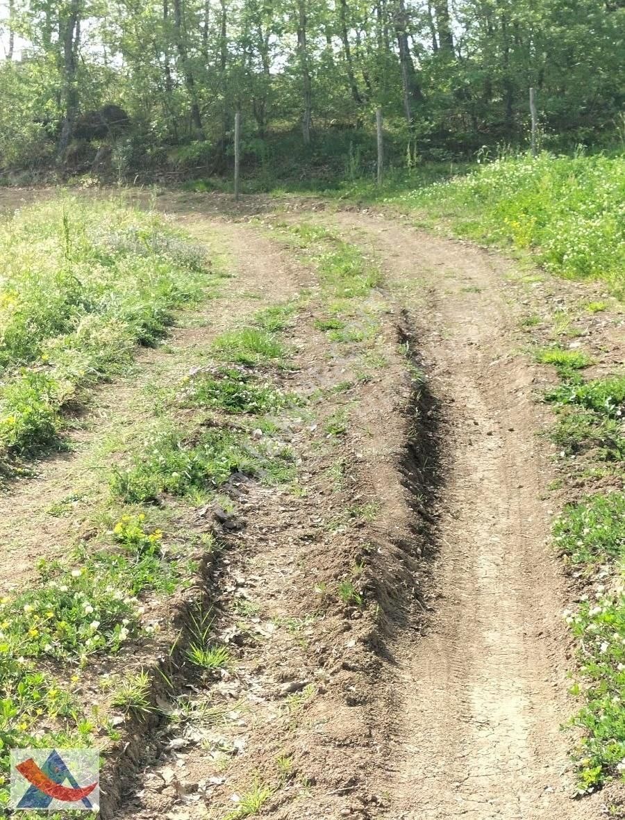 Yetiş Al Dan Şile Çengilli De Doğa İçinde 4.550 M2 Satılık Arazi - Görsel 5