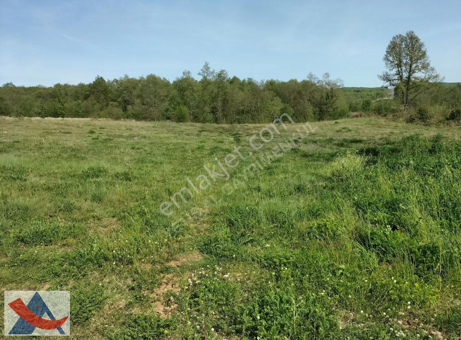 Yetiş Al Dan Şile Çengilli De Doğa İçinde 4.550 M2 Satılık Arazi - Görsel 32