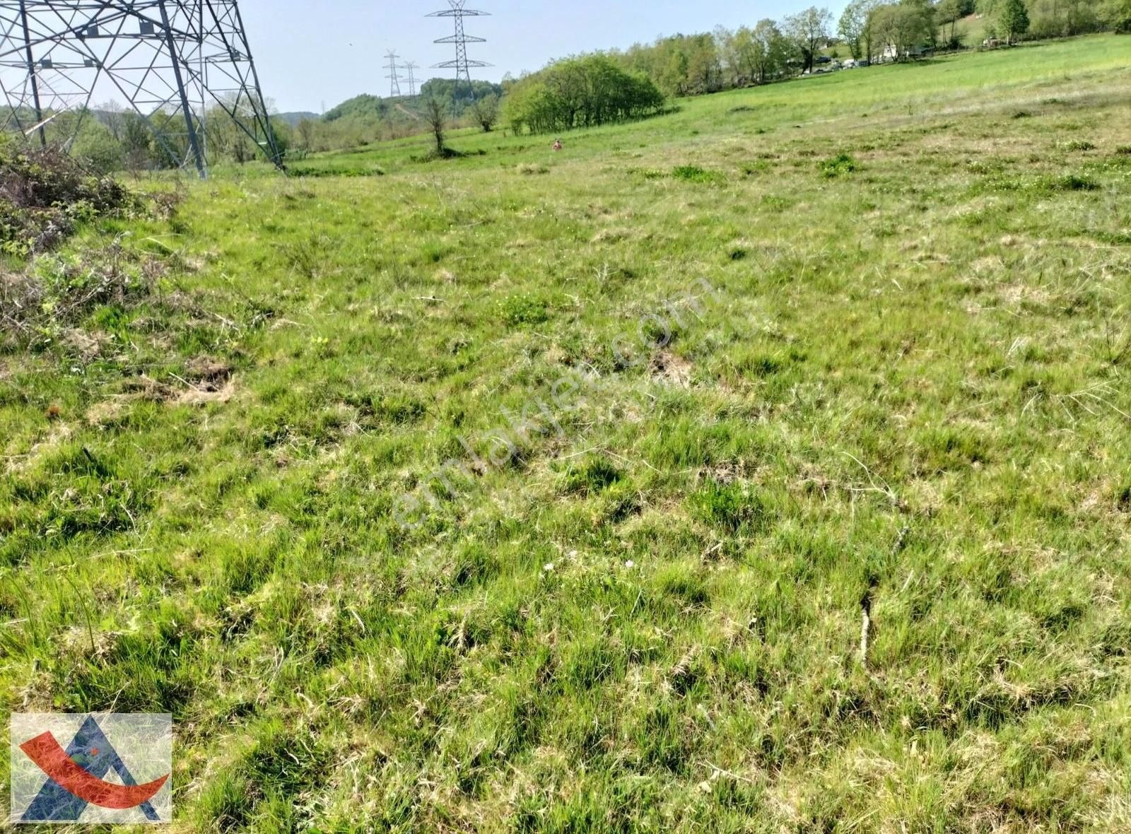 Yetiş Al Dan Şile Çengilli De Doğa İçinde 4.550 M2 Satılık Arazi - Görsel 6