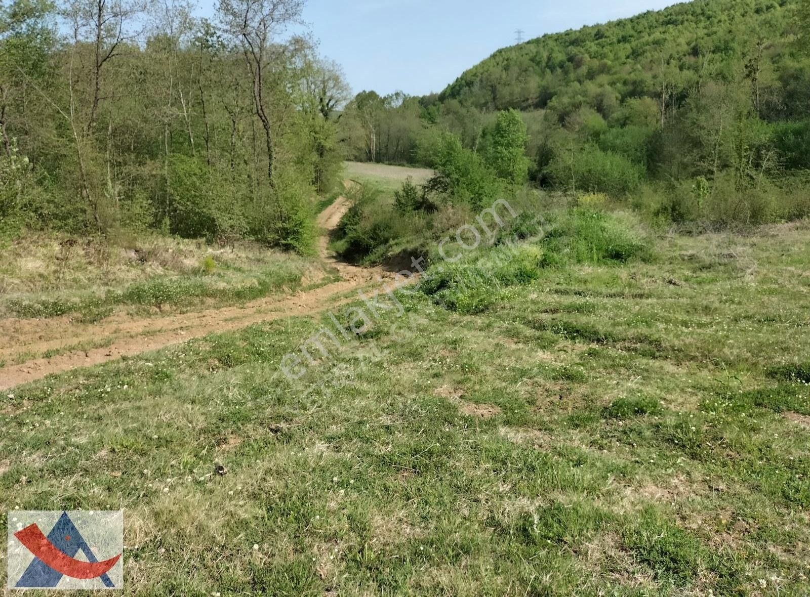 Yetiş Al Dan Şile Çengilli De Doğa İçinde 4.550 M2 Satılık Arazi - Görsel 13