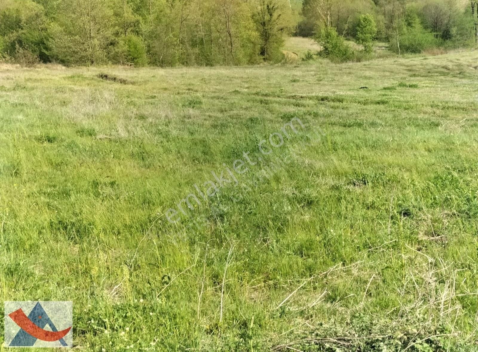 Yetiş Al Dan Şile Çengilli De Doğa İçinde 4.550 M2 Satılık Arazi - Görsel 26