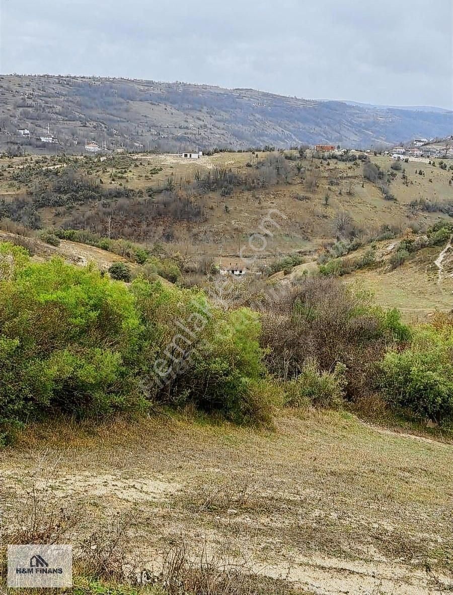 Kocaeli Kandıra Selametli Mah.'de Satılık 3859 M2 Tarla