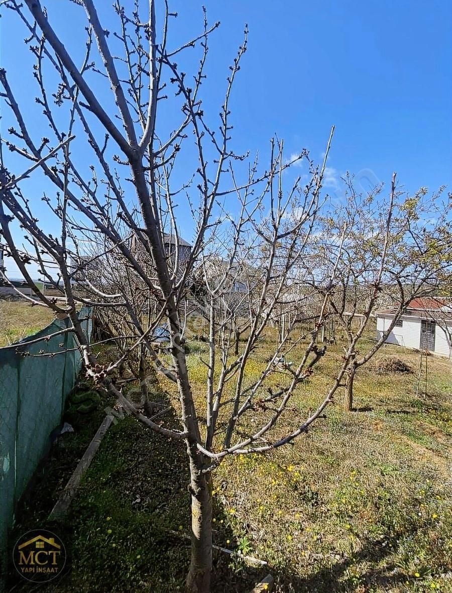 ~~mct Yapıdan Çeşmelide 550m2 Arsa 2+1 Konteynır Bağ/bahçe~~