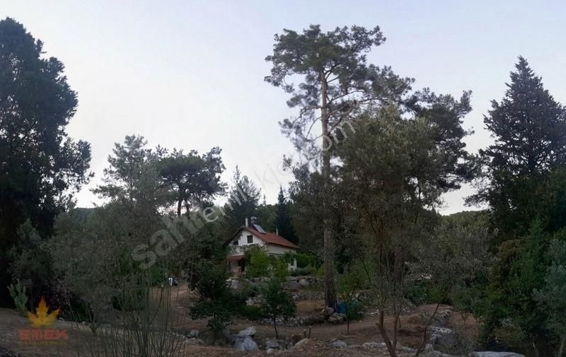 Ulupınar'da Kiralık Doğa İçinde Müstakil Ev