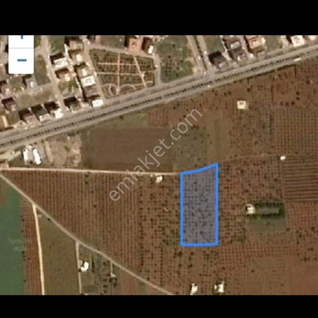Fıstıkpark Karşısında Satılık Fıstık Bahçesi.