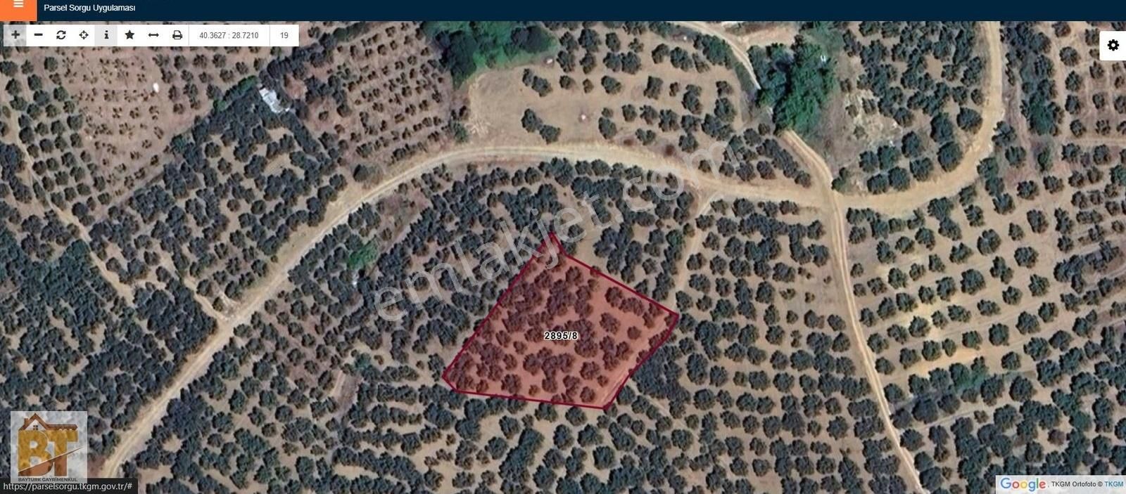 Mudanya Yalıçiftlik'te Satılık 2183 M2 Zeytinlik