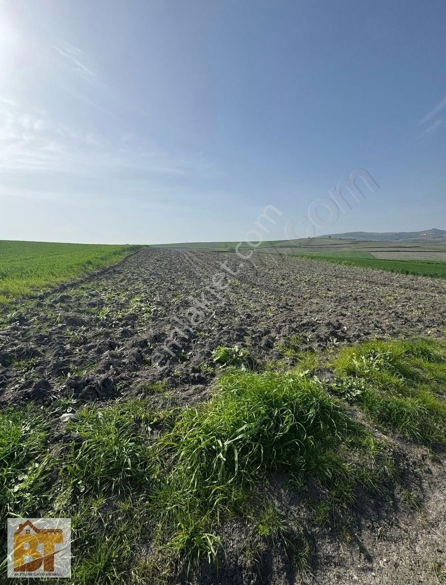 Karacabey Karakoca'da Satılık 3000 M2 Tarla