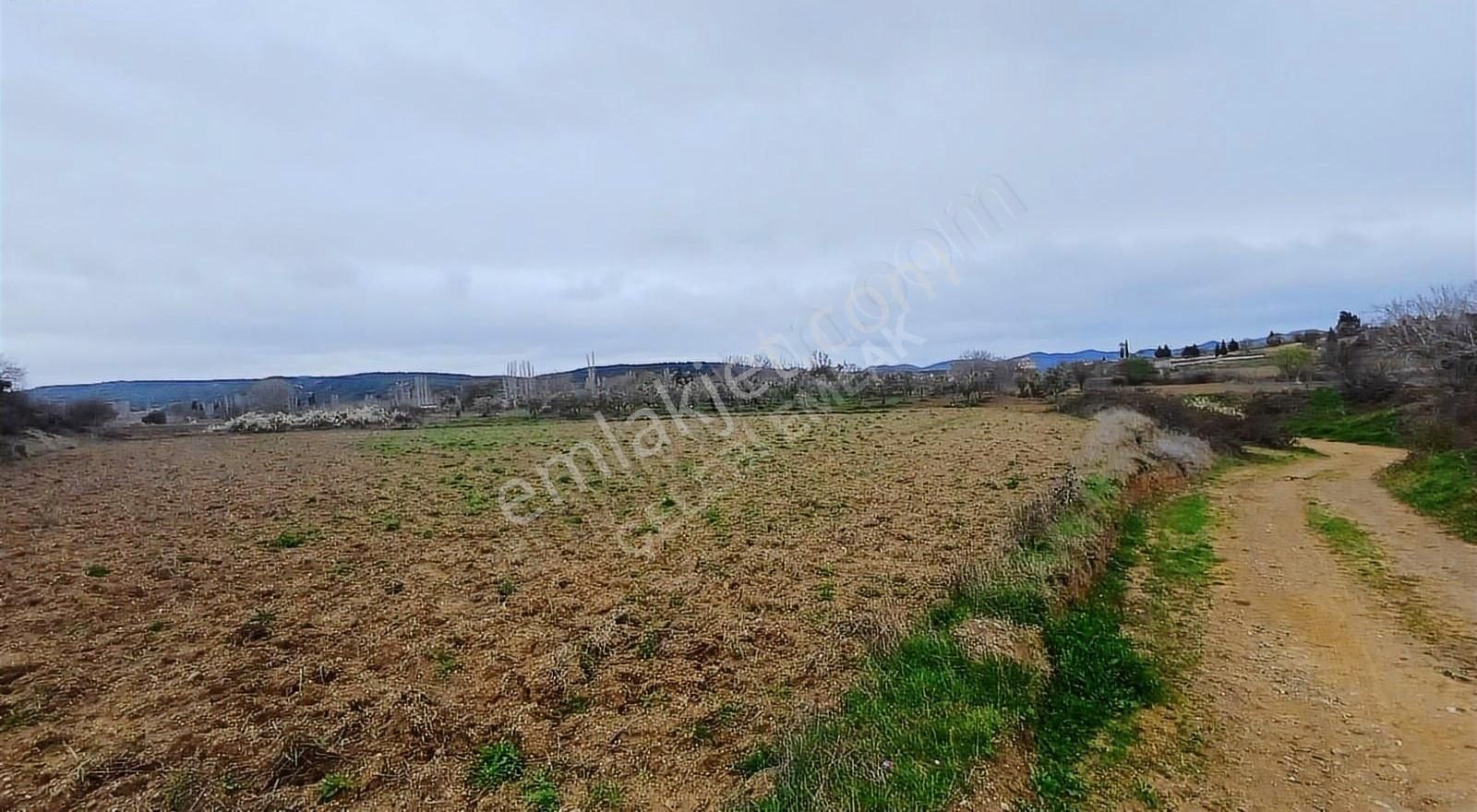 Çanakkale Eceabat Yolağzı Köyü Muhteşem Bir Arazi